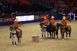 Quadrille - 00015